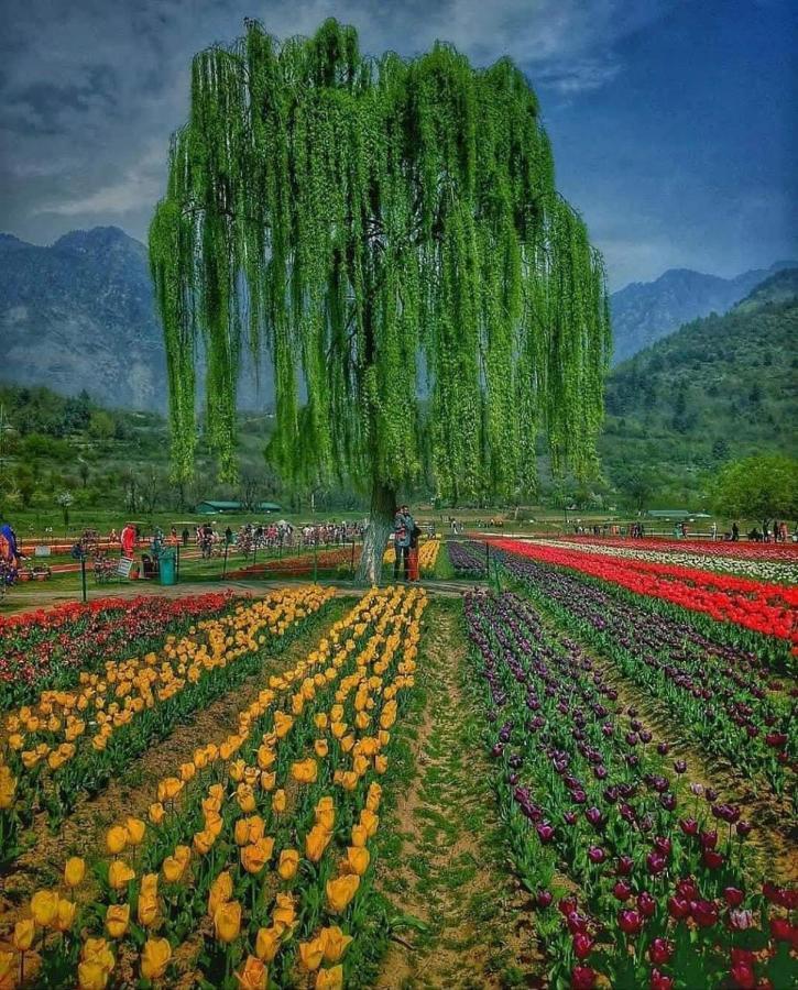 Sidsons Royale Otel Srīnagar Dış mekan fotoğraf